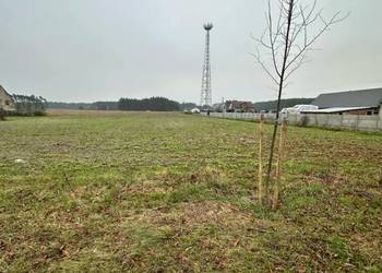 Działki budowlane w gminie Siedlisko miejscowość Borowiec