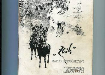 Doliniacy T.1 Za Niemnem