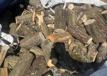Drzewo drewno liściaste dębina bigbag suche