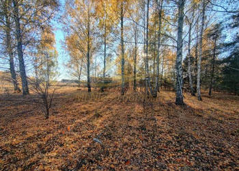 Oferta sprzedaży działki Żelechów 1277m2