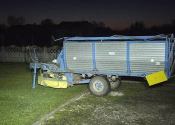 Scinacz zielonek ZAMET T 635