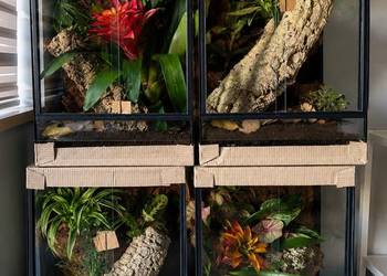 Terrarium 40x40x60