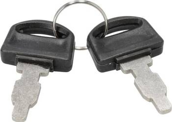 Kluczyk stacyjki zapłonu Briggs & Stratton 590996