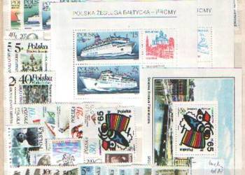 Zn. Rocznik **  1986