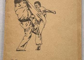 Karate-Kyokushin-mini podrecznik
