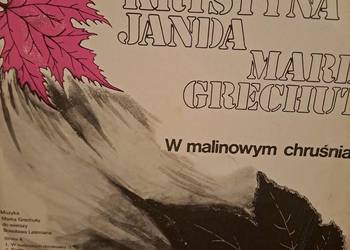 Płyta winylowa Krystyna Janda Marek Grechuta