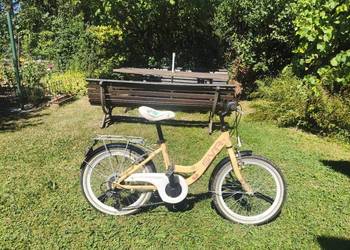 Rower firmy SVR