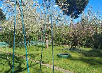 Działka ROD ZNTK Oleśnica