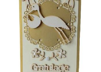 Kartki Okolicznościowe Gratulacje – Narodziny WZ2