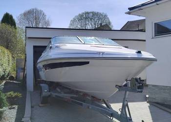 Sea Ray Mercruiser
