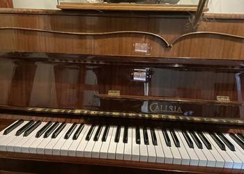 Pianino Calisia w pełni sprawne