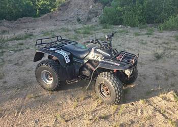 Kawasaki KLF 300 Bayou 2x4
