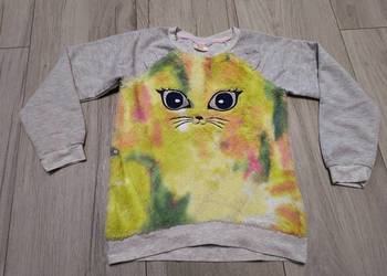 Bluza