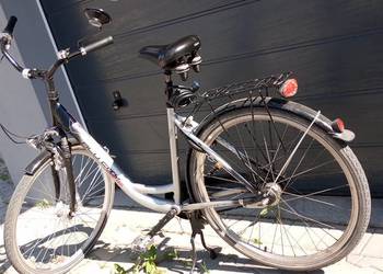 Rower damka Niemcy