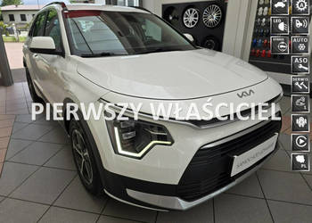 Kia Niro Krajowy, Pierwszy wł. Serwis, Gwarancja Kia do 2030