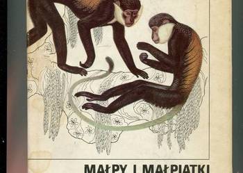 Małpy i małpiatki  Atlas