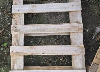 Pół palety drwniane 60x80 jednorazowe
