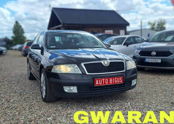 Škoda Octavia 1.9Tdi klima salon polska bez dpf II (2004-2013)