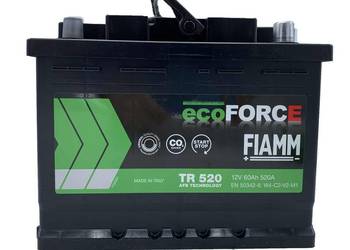 Akumulator 60AH 520A AFB Fiamm ECOFORCE