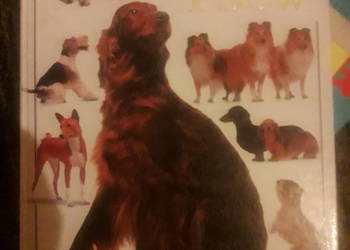 Księga psów - David Taylor