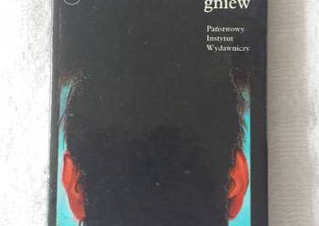 Gerd Fuchs: Beringer i nieustający gniew