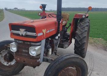 Massey Ferguson 135 nie 255