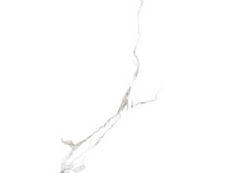 Gres Statuario polerowany 120x60x1 cm