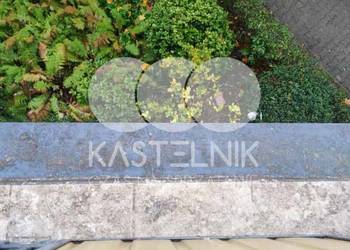Sprzątanie po gołębiach Płock – Kastelnik, mycie balkonów, strychów