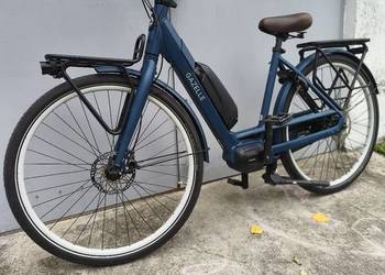 Gazelle Bloom C7 HMS 2022rok