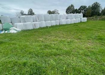 Baloty sianokiszonki