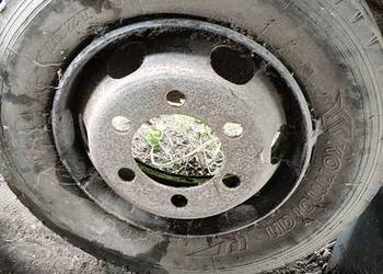 Koło felga przyczepa Iveco Eurcargo 215/75 R17.5 6x245 165mm