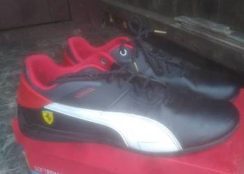 Buty puma
