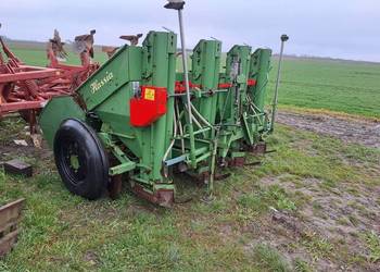 Sadzarka 4 rzędowa  Hassia 4x75