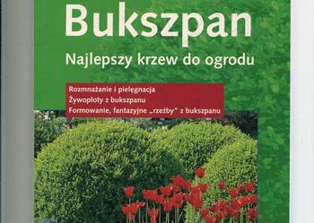 Bukszpan Najlepszy krzew do ogrodu