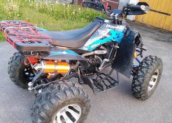 Quad Raptor 250