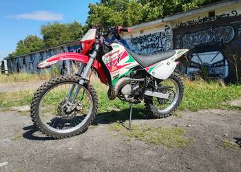 rieju rr50/80