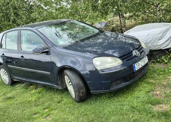 Vw Golf 5  1.6FSI 5 drzwi