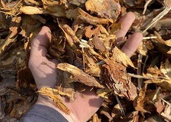 !Kora sosnowa!Transport