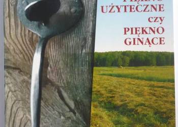 PIĘKNO UŻYTECZNE CZY PIĘKNO GINĄCE