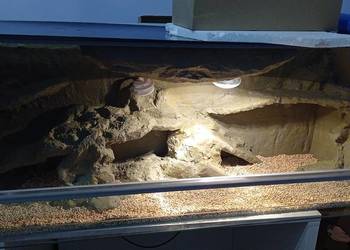 Terrarium Dla Gadów Gekon Agama Jaszczurka 120x40x50cm