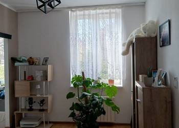 Mieszkanie 42m2 parter