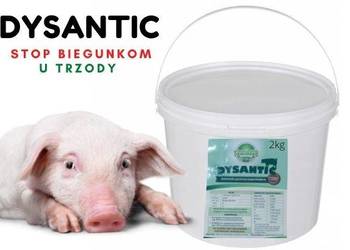 DYSANTIC 10 kg na biegunki przeciw wirusom,bakterii dla świń