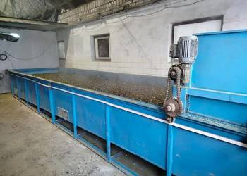 Suszarnia do pestki dyni