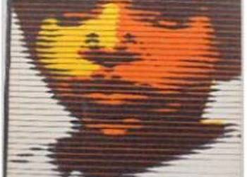 PODSTAWY PSYCHIATRII DZIECIĘCEJ - BARKER P.