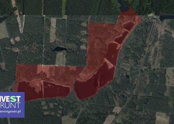 [53,18 ha] przetarg na dzierżawę stawów rybnych
