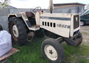 Sprzedam cignik Lamborghini 85koni