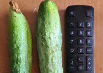 Kolekcjonerskie nasiona ogórków Gruzin 15sztuk i Palczik 15sztuk nasion.