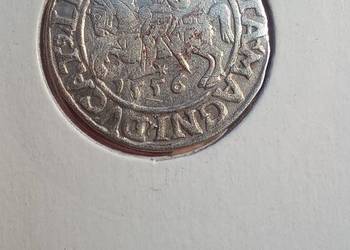 Półgrosz 1556r Zygmunt ll August