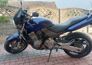 Honda hornet