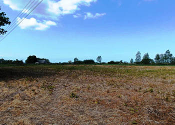 Groszkowo I Mierzeja Wiślana I działka pod budowę I spokojna okolica